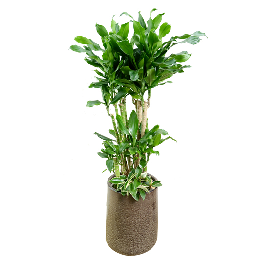 ����Ʈ��ǰ02