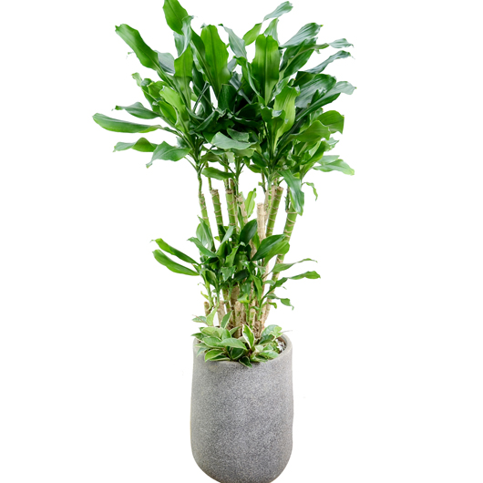 ����Ʈ��ǰ02