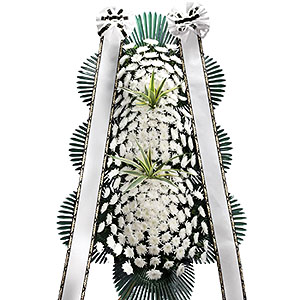 ����Ʈ��ǰ02