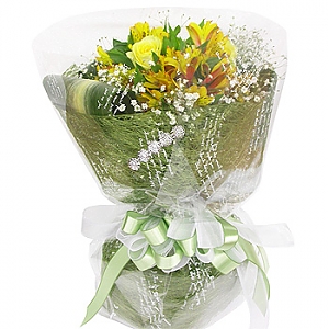 ����Ʈ��ǰ02