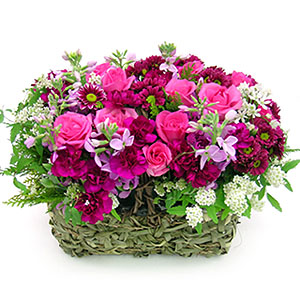 º£½ºÆ®»óǰ02