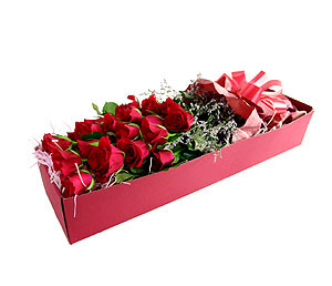 ����Ʈ��ǰ02