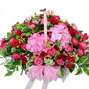 º£½ºÆ®»óǰ01