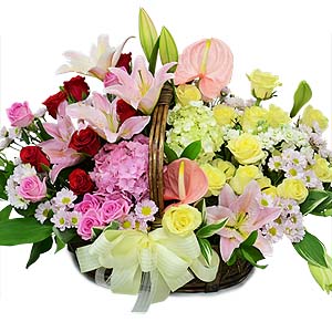 º£½ºÆ®»óǰ01