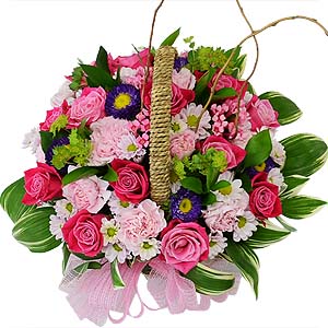 º£½ºÆ®»óǰ02