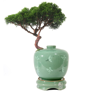 º£½ºÆ®»óǰ02