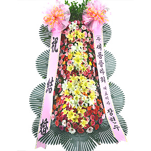 º£½ºÆ®»óǰ02