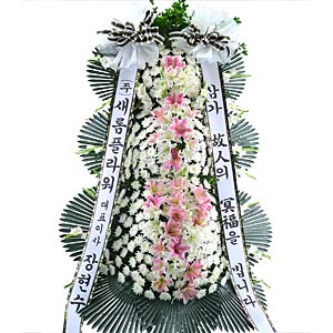 º£½ºÆ®»óǰ02