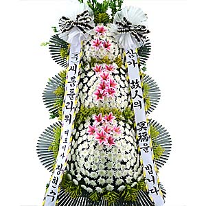 º£½ºÆ®»óǰ02