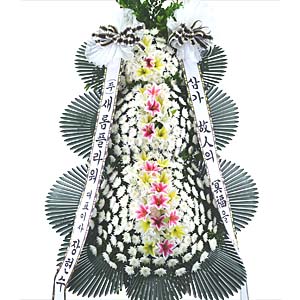 º£½ºÆ®»óǰ02