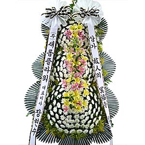 º£½ºÆ®»óǰ02