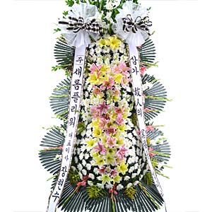 º£½ºÆ®»óǰ01