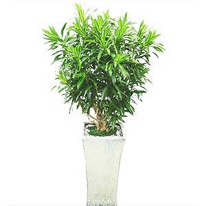 ����Ʈ��ǰ02