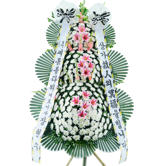 ����Ʈ��ǰ01